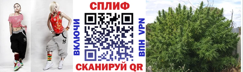 Бошки марихуана LSD WEED  blacksprut как зайти  Цивильск  закладки 